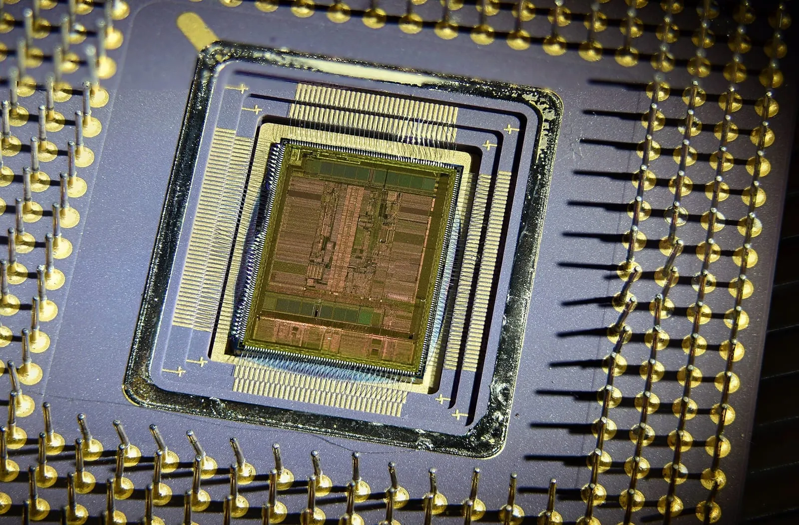 패키지를 벗긴 CPU 칩(다이)을 현미경으로 찍은 사진. 계산 장치와 캐시가 구역별로 배치되어 있다